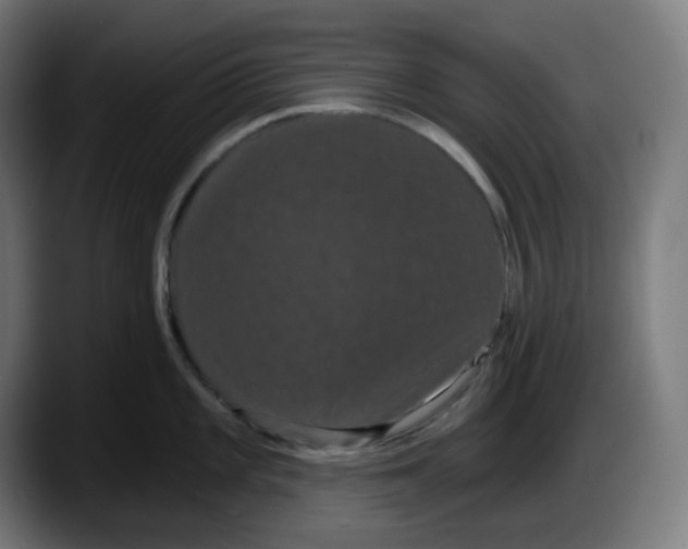 X0000087531101200705251654