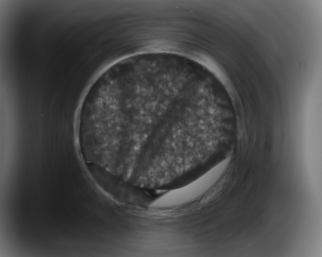 X0000087531102200705251654