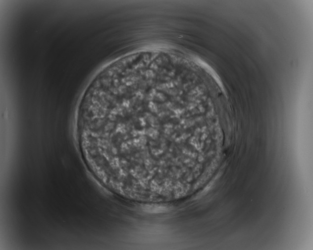 X0000087531103200705251654