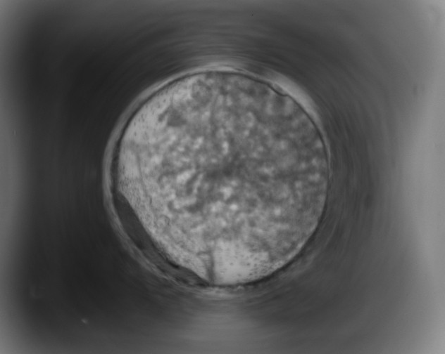 X0000087531104200705251654