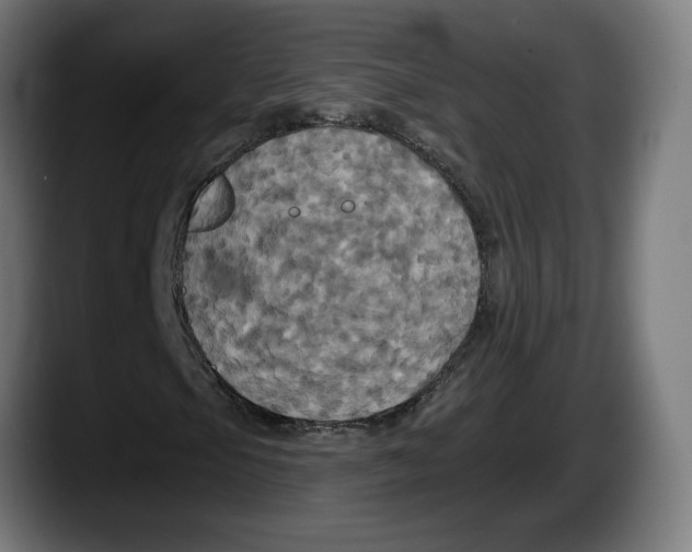 X0000087531105200705251654