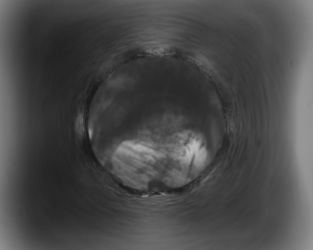 X0000087531106200705251654