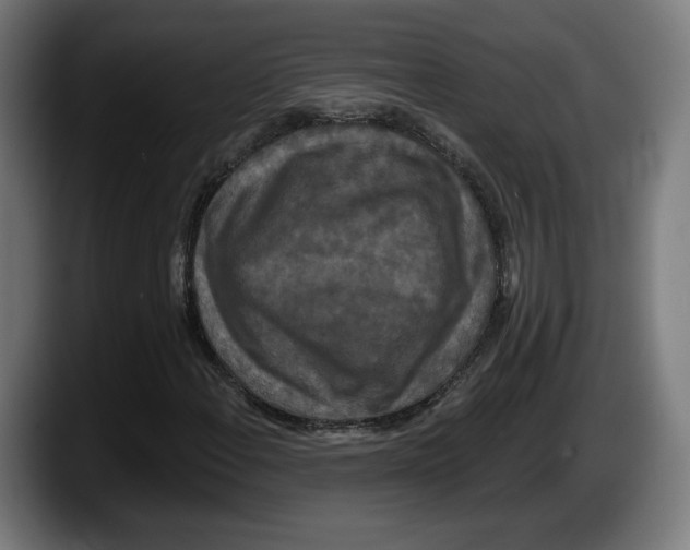 X0000087531108200705251654