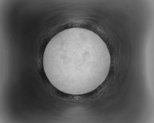 X0000087531109200705251654