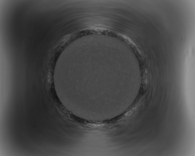 X0000087531110200705251654