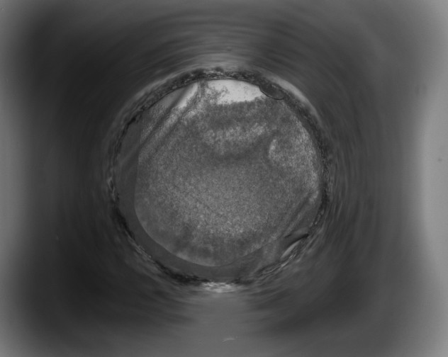 X0000087531112200705251654