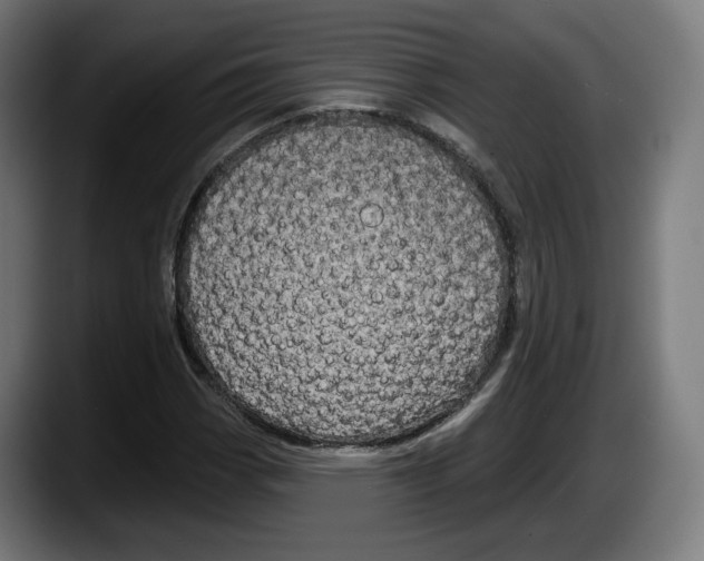 X0000087531113200705251654