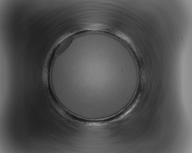 X0000087531114200705251654