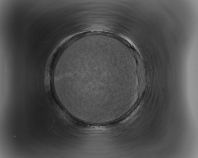 X0000087531115200705251654