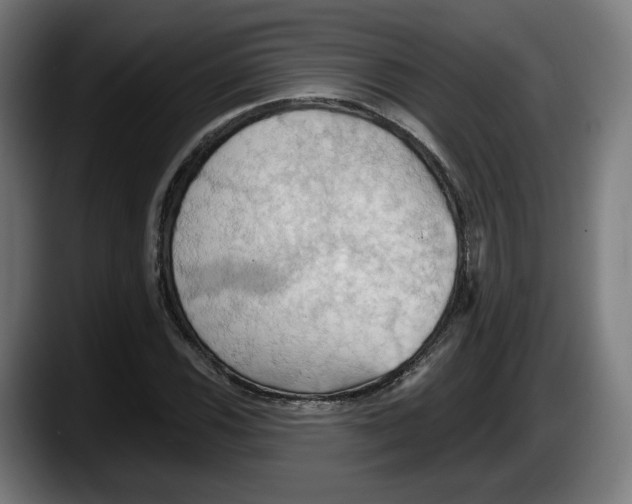 X0000087531116200705251654
