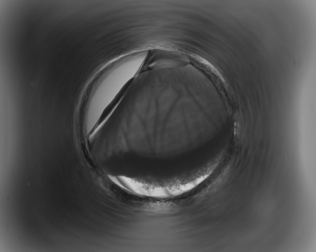 X0000087531117200705251654