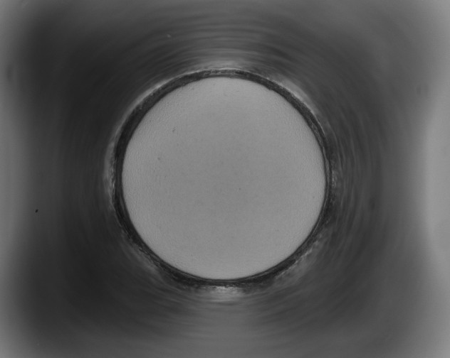 X0000087531119200705251654