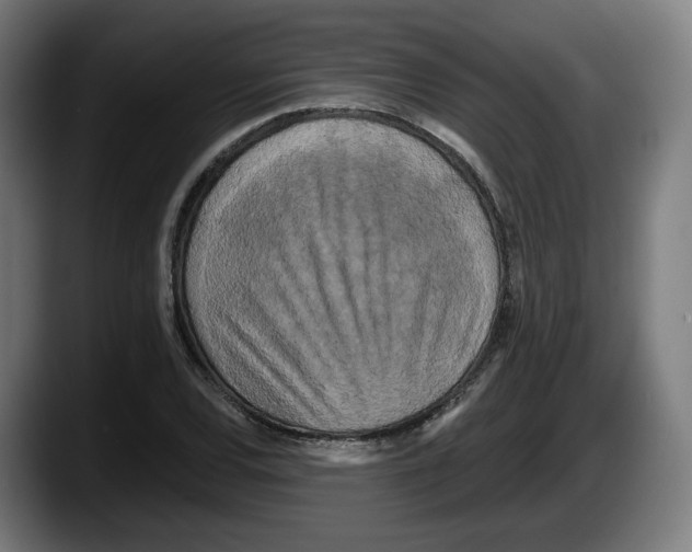 X0000087531120200705251654