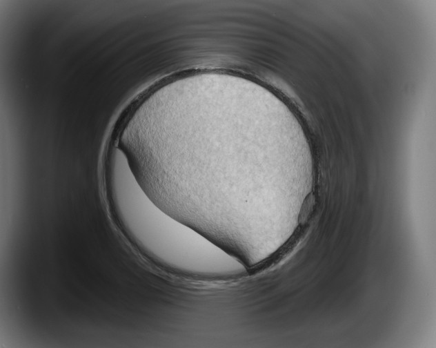 X0000087531122200705251654