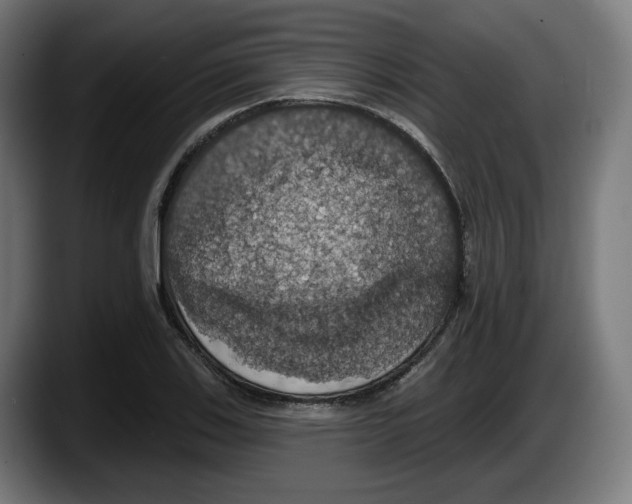 X0000087531123200705251654
