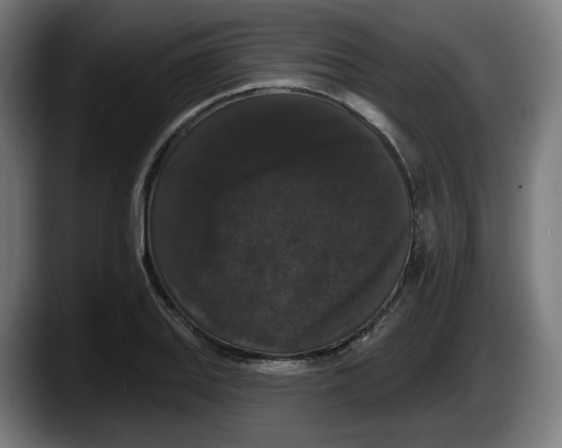 X0000087531127200705251654