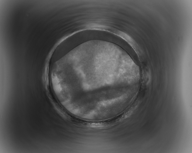X0000087531128200705251654
