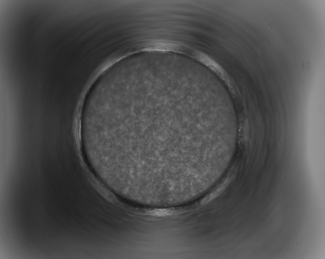 X0000087531130200705251654