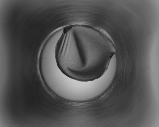 X0000087531132200705251654