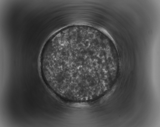 X0000087531133200705251654