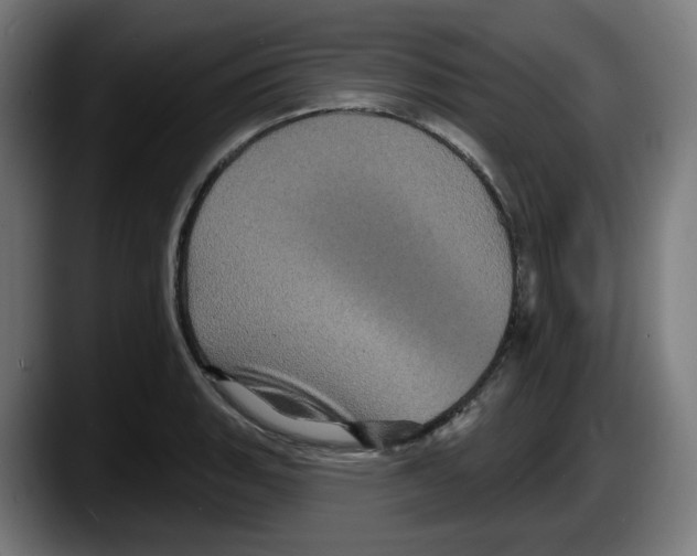 X0000087531135200705251654