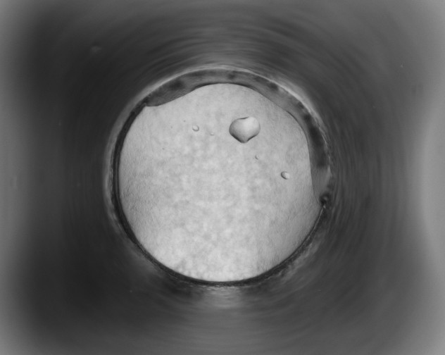 X0000087531136200705251654