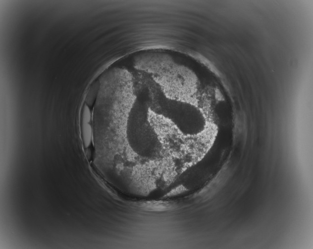X0000087531137200705251654