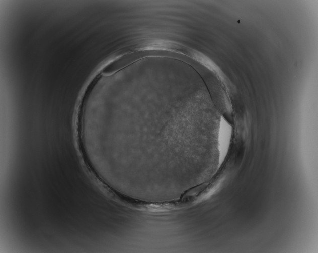 X0000087531138200705251654