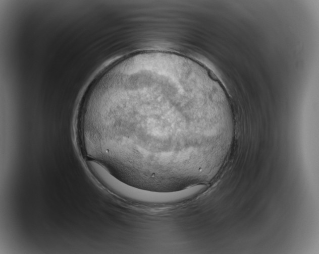 X0000087531139200705251654