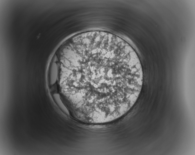 X0000087531140200705251654