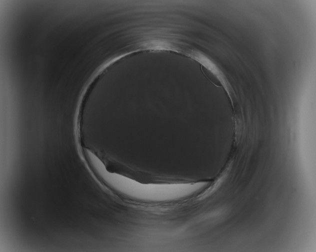 X0000087531141200705251654