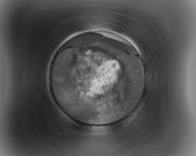 X0000087531142200705251654