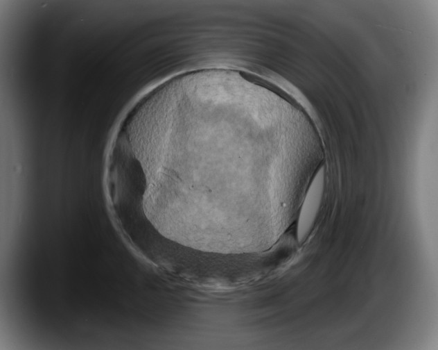 X0000087531144200705251654