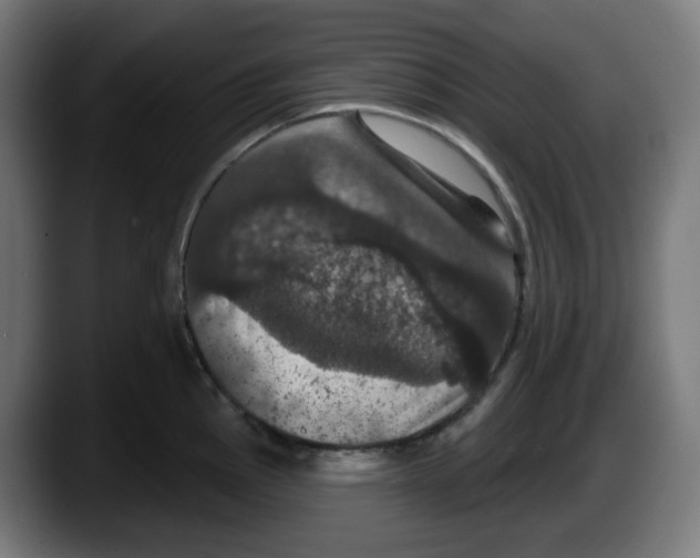 X0000087531145200705251654