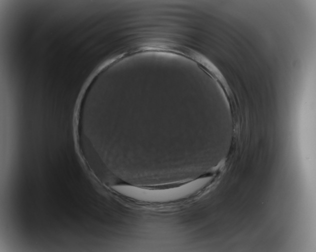 X0000087531146200705251654