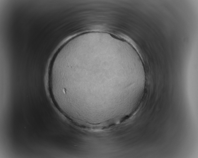 X0000087531147200705251654