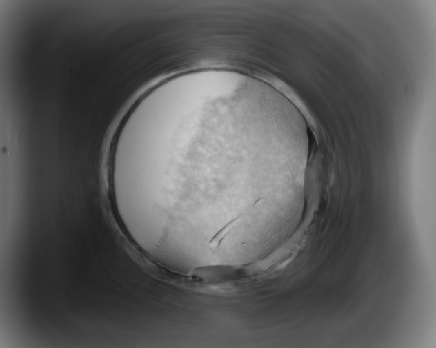 X0000087531148200705251654