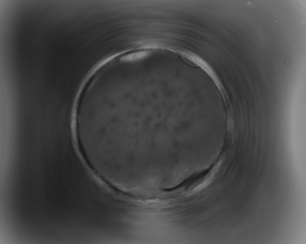 X0000087531149200705251654