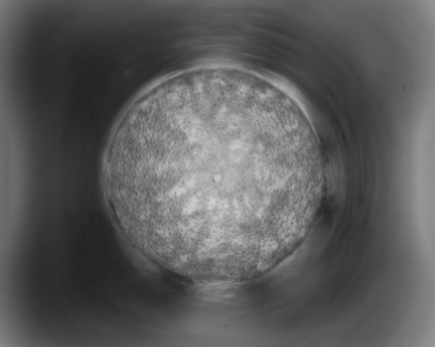X0000087531150200705251654