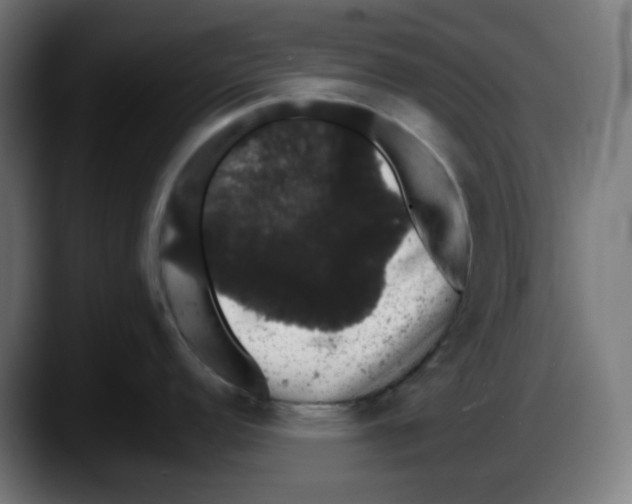 X0000087531152200705251654