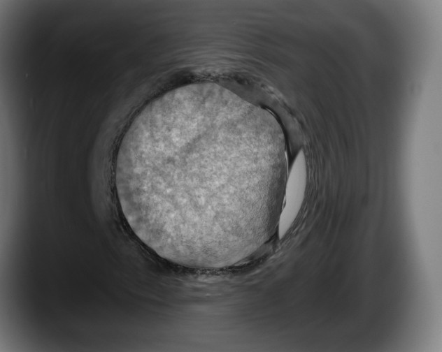 X0000087531153200705251653