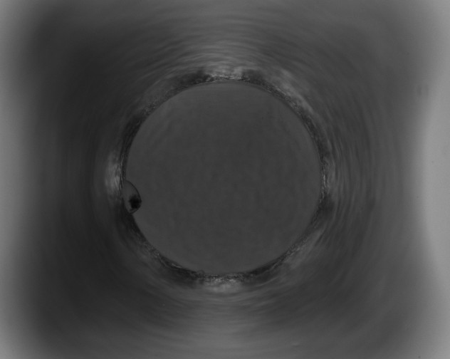 X0000087531154200705251653