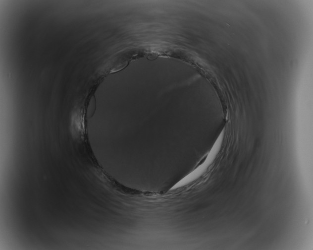 X0000087531155200705251653