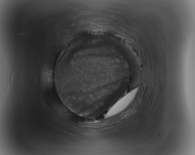 X0000087531156200705251653