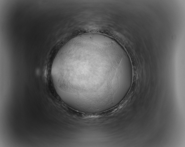 X0000087531157200705251653