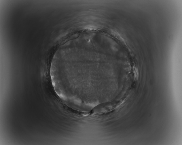 X0000087531158200705251653