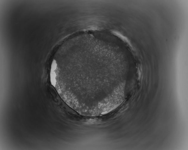 X0000087531160200705251653
