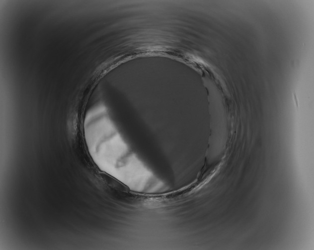 X0000087531161200705251653