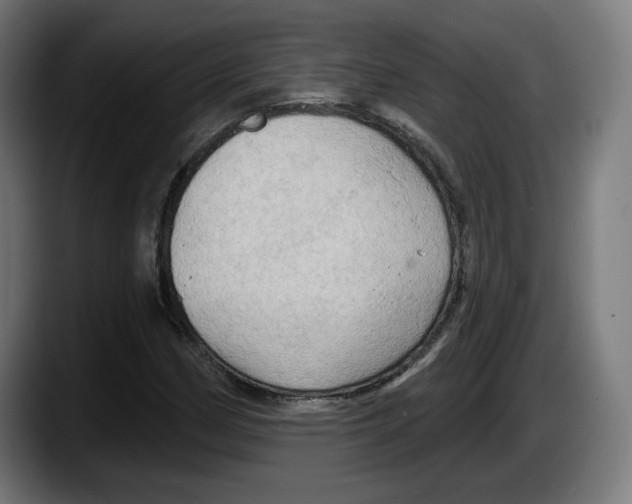 X0000087531162200705251653