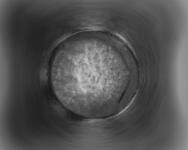 X0000087531163200705251653